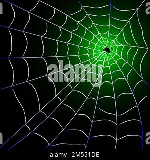 Spider web with spider over blackgreen background design; vector illustration Stock Vector