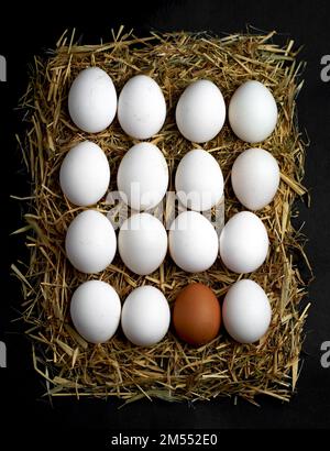 fresh farm chicken eggs in a tray lie on a straw Stock Photo