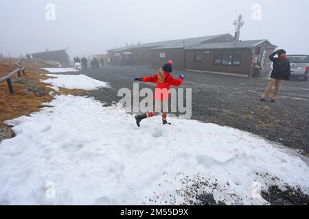 Schierke, Germany. 26th Dec, 2022. Only a few remnants of snow are currently on the Brocken. Drizzle and fog currently dominate the weather on the Brocken. Only a few hikers are on the summit. Credit: Matthias Bein/dpa/Alamy Live News Stock Photo