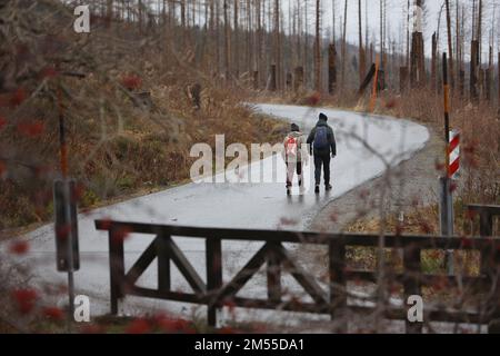 Schierke, Germany. 26th Dec, 2022. Hikers are on the road on the Brocken. Drizzle and fog are currently dominating the weather on the Brocken. Only a few hikers are on the way to the summit. Credit: Matthias Bein/dpa/Alamy Live News Stock Photo