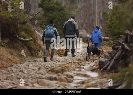 Schierke, Germany. 26th Dec, 2022. Hikers go up to the Brocken. On the Brocken, drizzle and fog currently dominate the weather. Only a few hikers are on the way to the summit. Credit: Matthias Bein/dpa/Alamy Live News Stock Photo