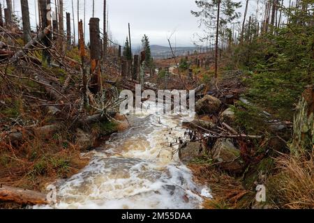 Schierke, Germany. 26th Dec, 2022. Much water leads the 'black silt water' at the Brocken . The small stream is currently carrying more water than usual because of the persistent precipitation and the melting snow. On the Brocken, drizzle and fog currently determine the weather. Only a few hikers are on the summit. Credit: Matthias Bein/dpa/Alamy Live News Stock Photo