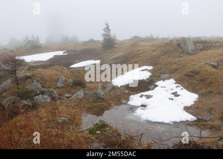 Schierke, Germany. 26th Dec, 2022. Only a few remnants of snow are currently on the Brocken. Drizzle and fog currently dominate the weather on the Brocken. Only a few hikers are on the summit. Credit: Matthias Bein/dpa/Alamy Live News Stock Photo