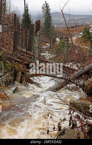 Schierke, Germany. 26th Dec, 2022. Much water leads the 'black silt water' at the Brocken . The small stream is currently carrying more water than usual because of the persistent precipitation and the melting snow. On the Brocken, drizzle and fog currently determine the weather. Only a few hikers are on the summit. Credit: Matthias Bein/dpa/Alamy Live News Stock Photo