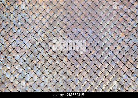 background in the form of fish skins fabric silver shimmers Stock Photo