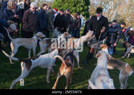 Stourbridge, UK. 26th Dec 2022. Members of the Albrighton & Woodland Hunt gather at Hagley Hall near Stourbidge in the West Midlands for the traditional Boxing Day Hunt.The traditional  hunt see’s a record crowds gather to watch hounds and riders on horseback set off on trail hunts in nearby countryside. Credit: Ian Tennant/Alamy Live News Stock Photo