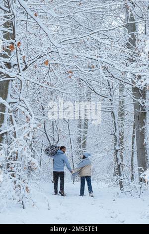 On the shoulder of a man, there is a snow-covered Christmas tree that he is holding. In the winter forest, a couple walks through a snowy landscape. Stock Photo