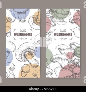 Two labels with Agaricus bisporus aka common mushroom and Pleurotus ostreatus aka oyster mushroom sketch. Stock Vector