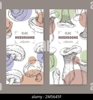 Two labels with Lentinula edodes aka shiitake and Pleurotus eryngii aka king oyster mushroom sketch. Stock Vector