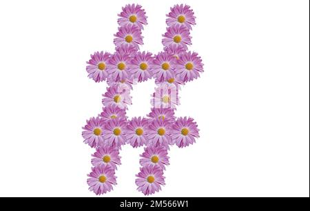 Hashtag sign made of pink flower, isolated on white background. Flower typography. Design element. Stock Photo