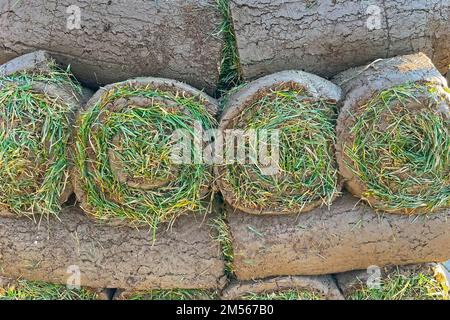 Rolled in a spiral lawns stacked on top of each other close up view Stock Photo