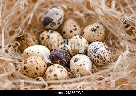 Fresh quail eggs in the nest. Diet Stock Photo