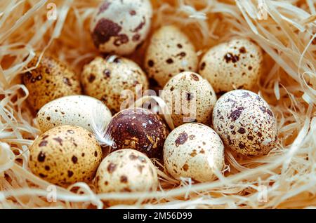 Quail eggs in a straw nest. Diet Stock Photo