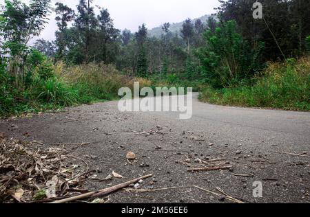 Beautiful Ghat road along the mountain range of Eastern Ghats leading to Kolli Hills, Tamil Nadu, India. Stock Photo