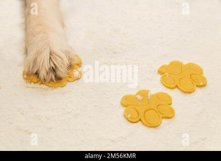 Dog chef makes cookies from dough in the kitchen Stock Photo