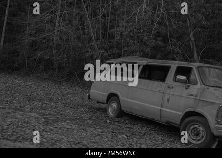 A grayscale shot of an old abandoned van near trees in a forest Stock Photo