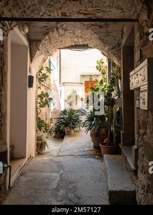 A vertical shot of an archway leading to a garden in Vernazza, Cinque Terre, Italy Stock Photo