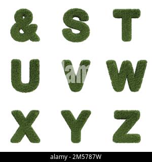 3D Render Set of Grass Font including Letters,  Numbers and Punctuation Marks isolated on white background Stock Photo