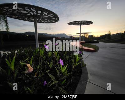 Tropical garden Stock Photo