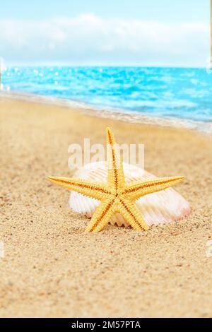 Orange starfish with shell on seashore on sand. Behind Waves. Vacation, beach, travel. Vertical. Copy space Stock Photo