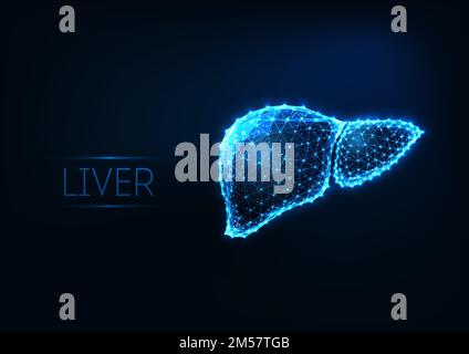 Futuristic glowing low polygonal human liver made of lines, light particles isolated on dark blue background. Internal organs medical research concept Stock Vector