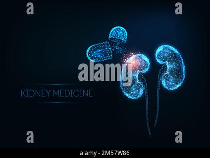 Futuristic kidneys medicine concept with glowing low polygonal human kidneys and capsule pills isolated on dark blue background. Modern wire frame mes Stock Vector