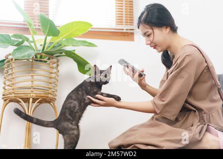 Pet lover concept, Young Asian woman using smartphone to take a picture of the cat in living room. Stock Photo