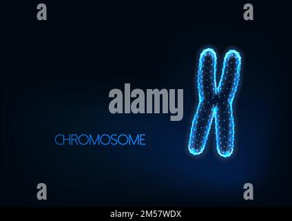 Futuristic glowing low polygonal chromosome isolated on dark blue background. Genetics conceptual illustration. Modern wire frame mesh design vector i Stock Vector