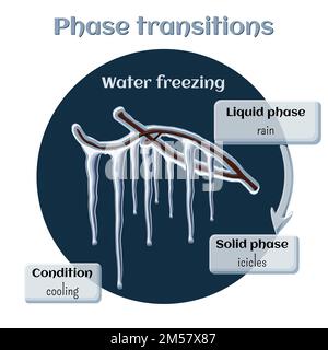 Changes of states. Part 5 of 6. Water freezing - icicles on tree branches. Phase transition from liquid to solid state. Educational infographics. Cart Stock Vector