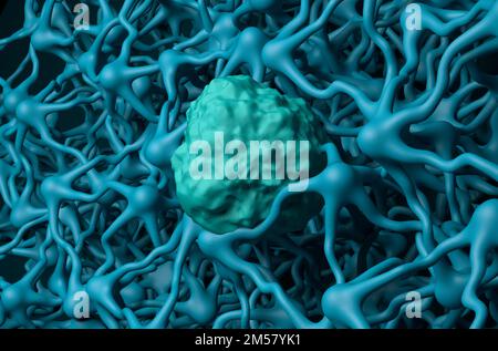 Blood-brain barrier (BBB) in the human brain - front view 3d ...