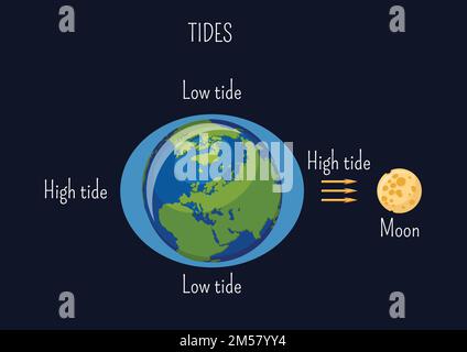 Low and high lunar tides diagram. Effect of Moon gravitational force on seacoast water level. Astronomy, geography science for kids. Cartoon style vec Stock Vector