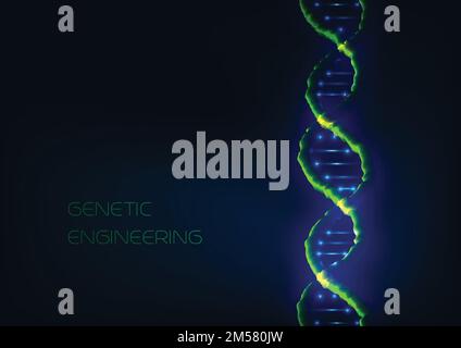 Abstract 3d glowing DNA structure spiral on modrn dark blue background. Medical scientific research, genetic engineering concept. Vector illustration. Stock Vector