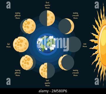 Basic moon phases diagram. Cheese moon in its different phases depending on position relative to earth and sunlight direction. Educational astronomy f Stock Vector