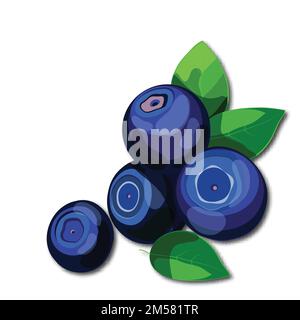 Fresh juicy blueberries with green leaves isolated on white background. Healthy vitamins rich food. Cartoon style vector illustration. Stock Vector