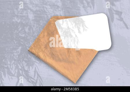 An envelope with sheet of textured white paper on the blue background. Mockup overlay with the plant shadows. Natural light casts shadows from a willo Stock Photo