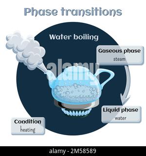 Changes of states. Part 2 of 6. Evaporation - water boiling. Phase transition from liquid to gaseous state. Educational infographics. Cartoon vector i Stock Vector