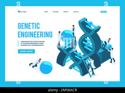 Isometric genetic engineering, DNA structure, medical workers, scientists. Template Landing page. Stock Vector
