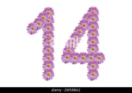 Writes 14 with pink flower on white background. Valentine's day concept idea. Stock Photo
