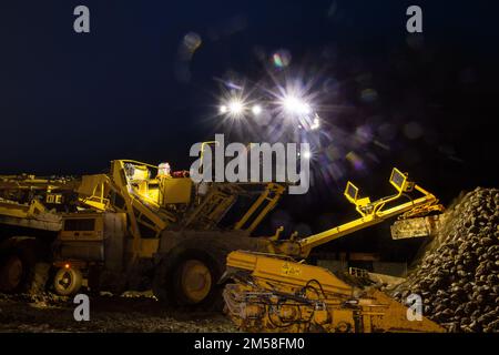 Mutterstadt, Palatinate: Loading sugar beet onto a truck in the dark. A so-called loading mouse (Verlademaus) is used to load the sugar beet, which wa Stock Photo