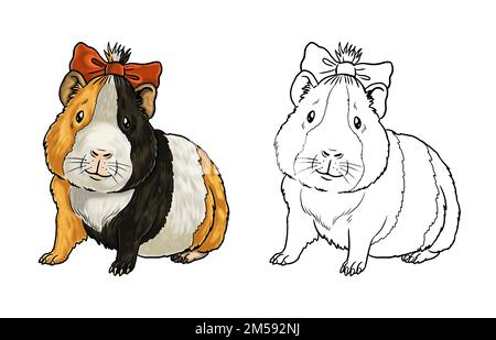 Cute guinea pig to color in. Template for a coloring book with funny animals. Coloring template for kids. Stock Photo