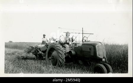 Man and Boy on Tractor Cutting Hay. Central Plains Region (Kansas City, MO). Photographic Print. Department of the Interior. Bureau of Indian Affairs. Red Lake Agency. 1964-. Photographs Stock Photo