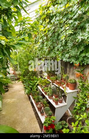 England, East Sussex, Lewes, Rodmell Village, Monk's House the Former Home of Virginia Woolf and her Husband Leonard Woolf, The Conservatory *** Local Stock Photo