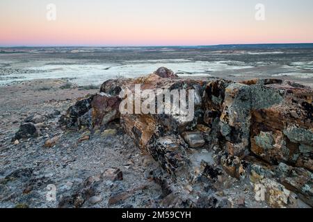 Der versteinerte Wald von Jaramillo in Patagonien, Argentinien. Stock Photo