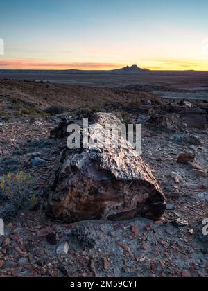 Der versteinerte Wald von Jaramillo in Patagonien, Argentinien. Stock Photo