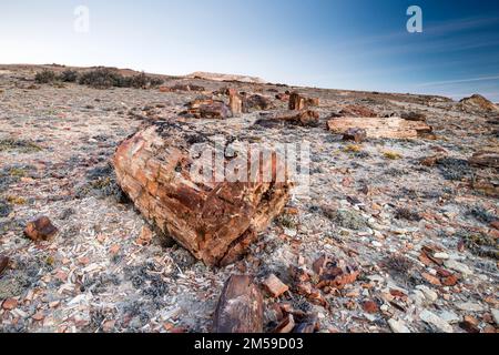 Der versteinerte Wald von Jaramillo in Patagonien, Argentinien. Stock Photo