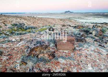 Der versteinerte Wald von Jaramillo in Patagonien, Argentinien. Stock Photo