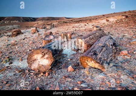 Der versteinerte Wald von Jaramillo in Patagonien, Argentinien. Stock Photo