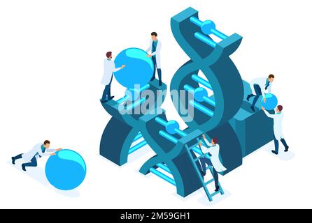 Isometric genetic engineering, DNA structure, medical workers, scientists. Concept for web design. Stock Vector