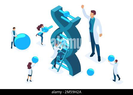 Isometric Scientists are investigating the structure of DNA, making experiments. Concept for web design. Stock Vector