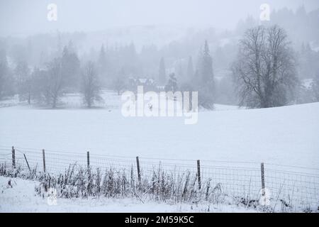 Callander, Scotland, UK. 27th December 2022. Heavy snow falling in Callander and Kilmahog, general view of the surrounding countryside blanketed in snow. Credit: Craig Brown/Alamy Live News Stock Photo